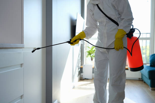 Best Emergency Mold Remediation  in Cowarts, AL
